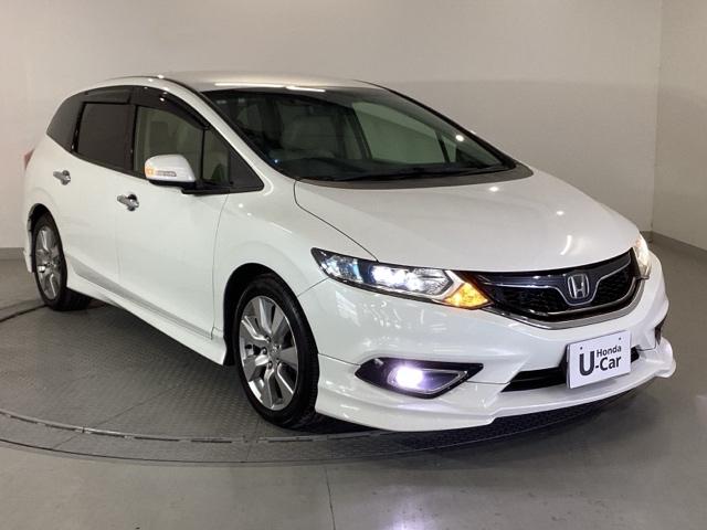 �����̂悤���Y��ɃN���[�j���O����Ă���A�ƂĂ��L���C�ȃ{�f�B�ł���B�O���͂������������Y��ł��B