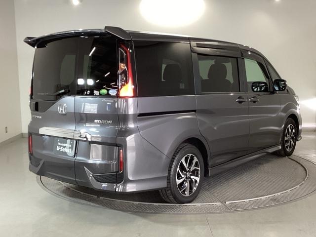 �����̂悤���Y��ɃN���[�j���O����Ă���A�ƂĂ��L���C�ȃ{�f�B�ł���B�O���͂������������Y��ł��B