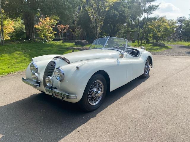 ＸＫ ＸＫ１２０　１９５４年モデル　サティフィケイト取得　ＸＫ１２０ロードスター（5枚目）
