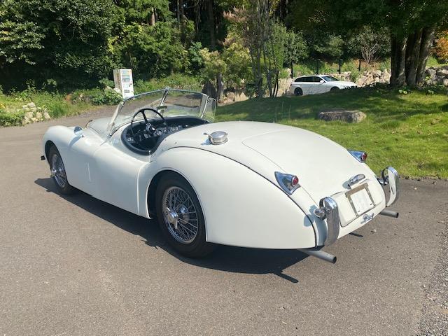 ＸＫ ＸＫ１２０　１９５４年モデル　サティフィケイト取得　ＸＫ１２０ロードスター（8枚目）