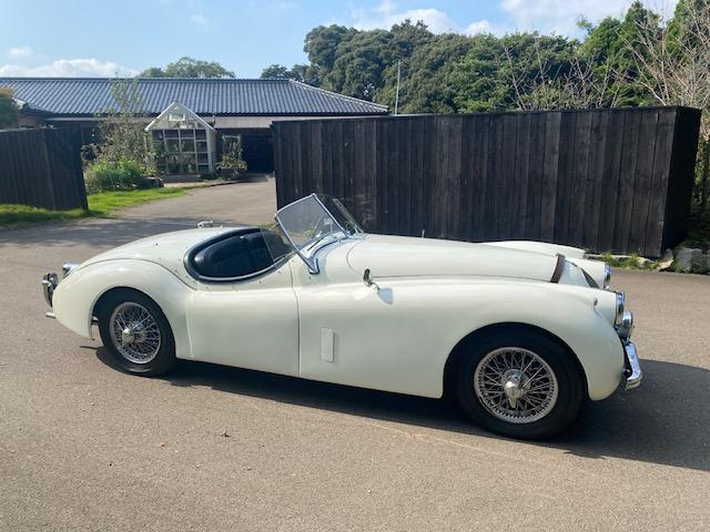 ＸＫ ＸＫ１２０　１９５４年モデル　サティフィケイト取得　ＸＫ１２０ロードスター（11枚目）