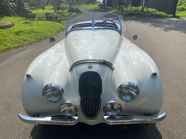 ＸＫ ＸＫ１２０　１９５４年モデル　サティフィケイト取得　ＸＫ１２０ロードスター（13枚目）