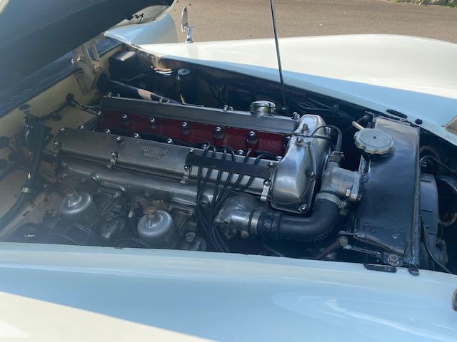 ＸＫ ＸＫ１２０　１９５４年モデル　サティフィケイト取得　ＸＫ１２０ロードスター（20枚目）