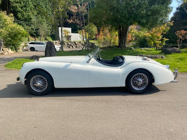 ＸＫ ＸＫ１２０　１９５４年モデル　サティフィケイト取得　ＸＫ１２０ロードスター（42枚目）
