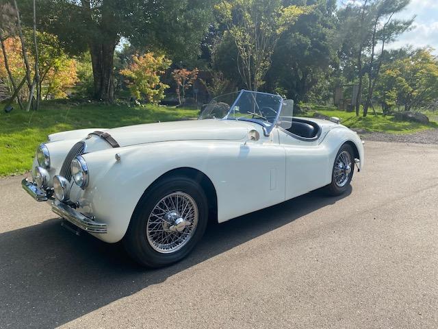 ＸＫ ＸＫ１２０　１９５４年モデル　サティフィケイト取得　ＸＫ１２０ロードスター（44枚目）