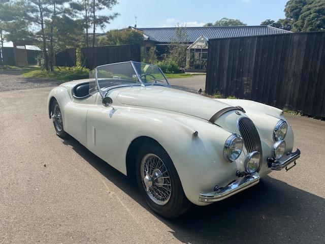 ＸＫ ＸＫ１２０　１９５４年モデル　サティフィケイト取得　ＸＫ１２０ロードスター（47枚目）