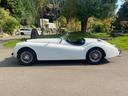 ＸＫ１２０　１９５４年モデル　サティフィケイト取得　ＸＫ１２０ロードスター（42枚目）