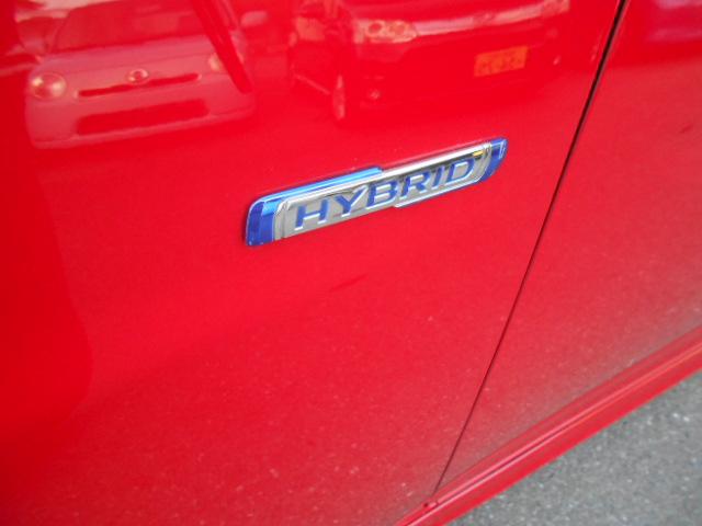 �n�C�u���b�h�ԂɂȂ�܂��I�I