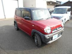 �ե쥢�����������С� �أǡ����꡼�ʥӡ��ϥǥ����£����������衡�ģ֣ĺ��� 0803148A30251230W001 6