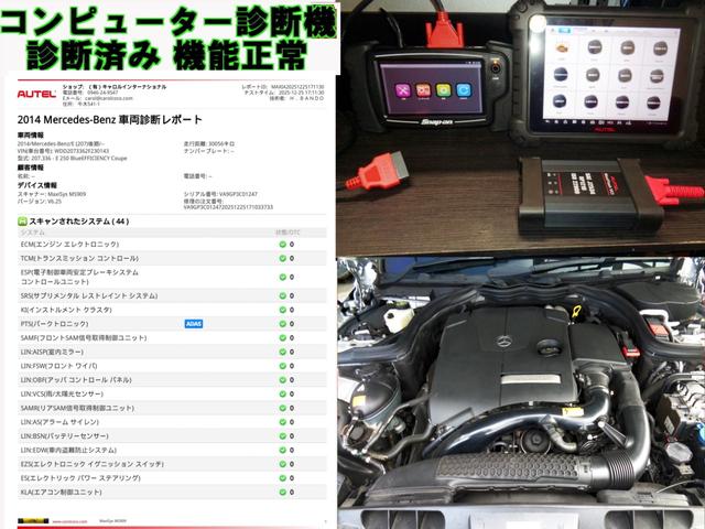 �}���`�f�f�@�̃I�[�e���@�l�������r�����@�}�L�V�V�X�Őf�f�ς݁@�ُ�Ȃ��y�уG���[���Z�b�g�ς�