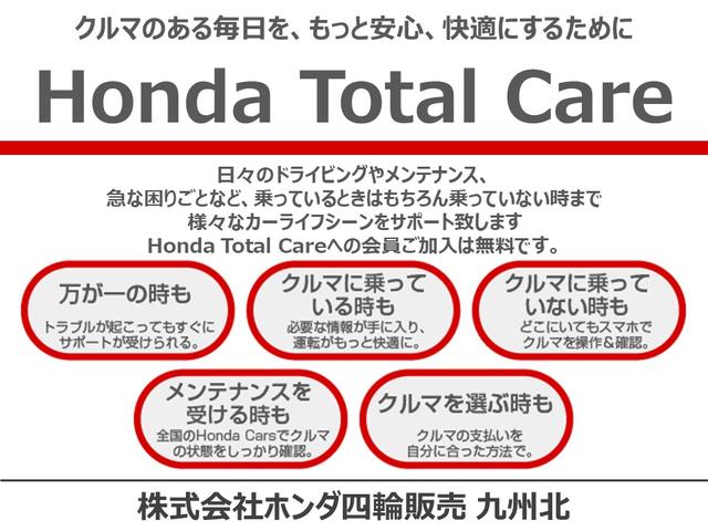 Ｇ・スロープＬホンダセンシング　純正メモリーナビ衝突低減ブレーキリアカメラ両側電動スライドドアＥＴＣ　衝突軽減　ＡＢＳ　ＥＴＣ車載器　ＬＥＤヘッドライト　ＶＳＡ　スマートキープッシュスタート　ＵＳＢ　地デジ　福祉車両　記録簿(22枚目)