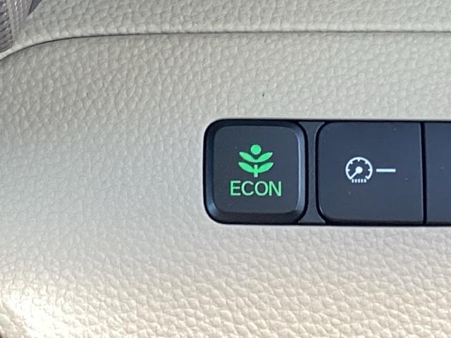 Ｎ－ＢＯＸ Ｇホンダセンシング　フルＬＥＤヘッドライト（プロジェクタータイプ）　バックソナー　盗難防止システム　Ｄレコ　ＥＴＣ付　ナビＴＶ　スマキー　ＤＶＤ再生機能　横滑り防止　記録簿　ＵＳＢ　パワーウィンドウ　ＡＡＣ　地デジＴＶ（23枚目）