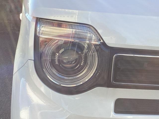 �k�d�c�w�b�h���C�g�i�E���j�ł�