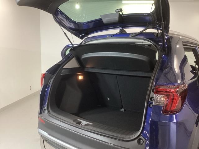 ����ȃe�[���Q�[�g�ł��B���L�A�Ⴂ���ʂő傫�ȉו��̏o�����ꂪ�ȒP�ɂȂ�܂��B