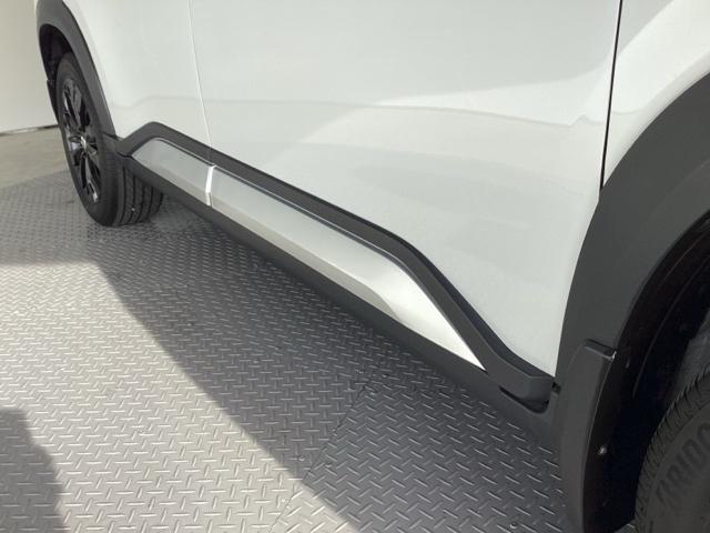 �y�{��p�G�N�X�e���A�@�V���[�v�V���o�[�h���h�A���A�[�K�[�j�b�V��