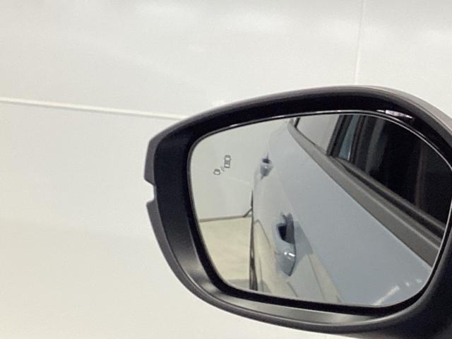 �y�V�r�b�N�z�X�|�[�c�����ӂ�鑖��ŁA����̓������ʂȎ��ԂɂȂ�܂��B