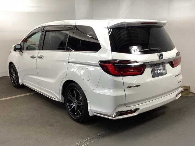 ���p���A�J�b�R�C�C�̂��z���_�Ԃ�����ł��B