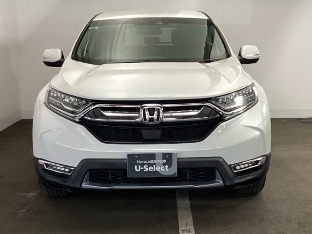 ��ڌ��ăz���_�Ԃ��Ƃ킩��J�b�R�����t�����g�}�X�N�ł��I