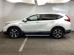 �ܥǥ������顼�ϡ��͵����Ρڥץ���ʥۥ磻�ȡ��ѡ���� 7