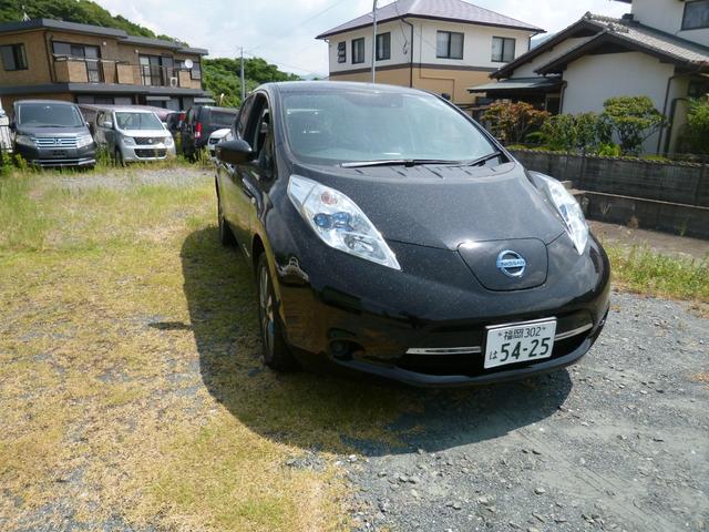 リーフ Ｘ（３０ｋｗｈ）（2枚目）