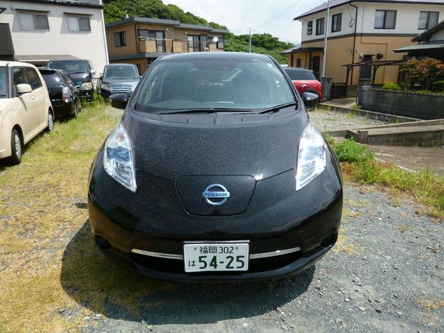 リーフ Ｘ（３０ｋｗｈ）（3枚目）