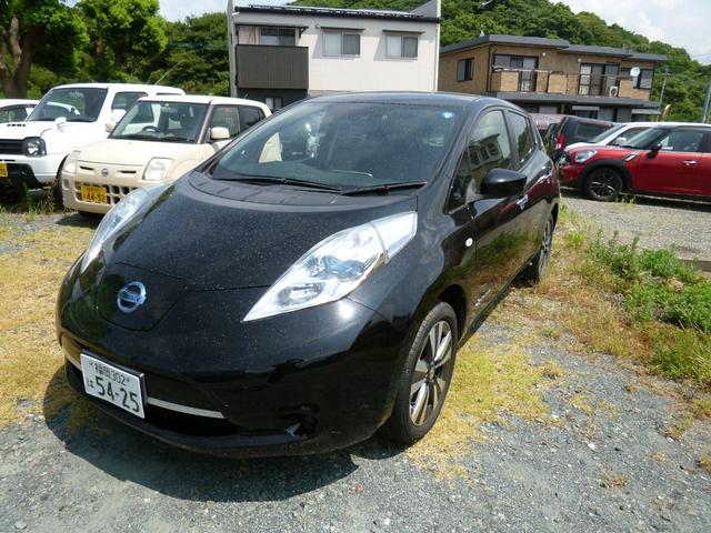 リーフ Ｘ（３０ｋｗｈ）（4枚目）