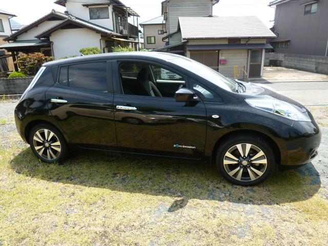 リーフ Ｘ（３０ｋｗｈ）（5枚目）