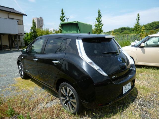 リーフ Ｘ（３０ｋｗｈ）（8枚目）