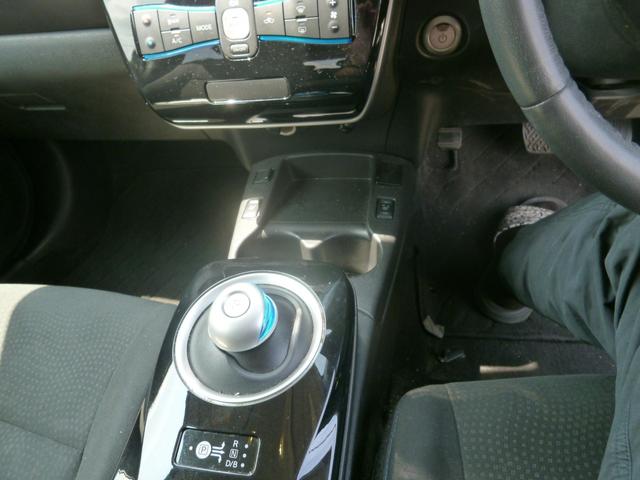 リーフ Ｘ（３０ｋｗｈ）（11枚目）