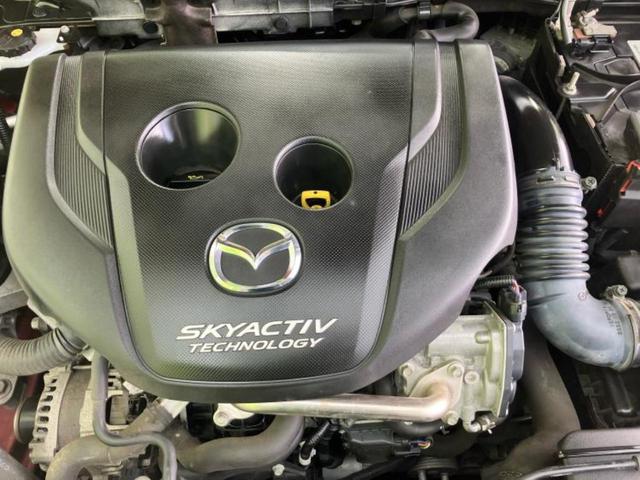 �S���ɓX�܂�W�J���Ă���̂łǂ��ł������񂹂��\�ł��I���̎Ԃ��C�ɂȂ邯�ǉ���������E�E�E�ƒ��߂�K�v�͂���܂���I���ʓr������K�v�ł��B