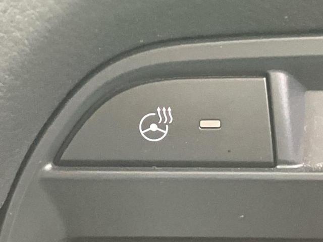 CX-8 XDプロアクティブ 新品タイヤ/保証書/純正 SDナビ/衝突安全装置/シートヒーター/360°ビューモニター/車線逸脱防止支援システム/Bluetooth接続/ETC/EBD付ABS/横滑り防止装置/アイドリングストップ(38枚目)