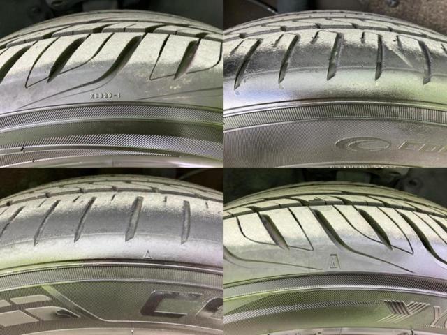 �u���̎Ԃ̎ʐ^�������ƌ������v�u��Ԃ��C�ɂȂ�v�u���̑����͂��Ă���H�v�ǂ�ȏ����ȋ^��ł����C�y�ɂ��₢���킹���������I