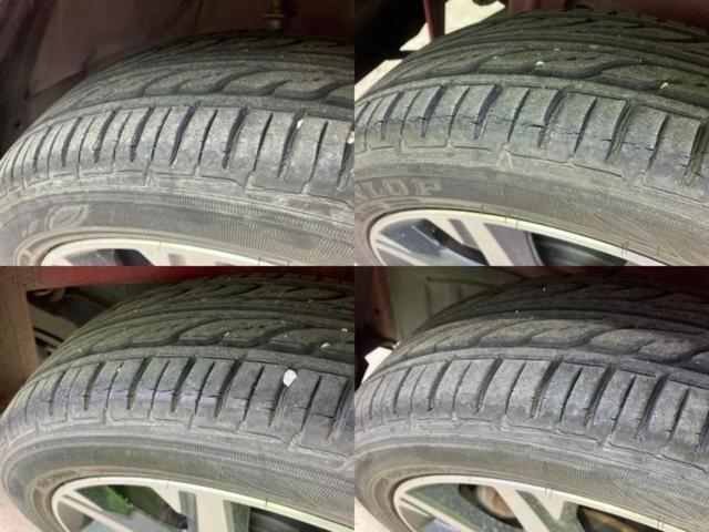 �u���̎Ԃ̎ʐ^�������ƌ������v�u��Ԃ��C�ɂȂ�v�u���̑����͂��Ă���H�v�ǂ�ȏ����ȋ^��ł����C�y�ɂ��₢���킹���������I