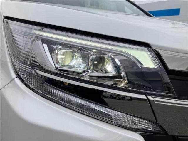 ���Y�Ԃ���A���Ԃ܂ő��l�Ȃ��q�l�̃j�[�Y�̂������ł���悤�ɁA�S���K�͂ŖL�x�ȍ݌ɓW�J�I�Ԃ̂��ƂȂ�v�d�b�`�q�r�ցI