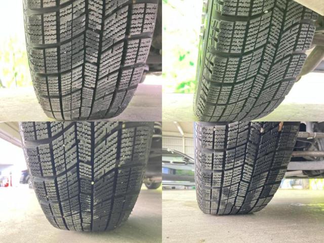 �u���̎Ԃ̎ʐ^�������ƌ������v�u��Ԃ��C�ɂȂ�v�u���̑����͂��Ă���H�v�ǂ�ȏ����ȋ^��ł����C�y�ɂ��₢���킹���������I