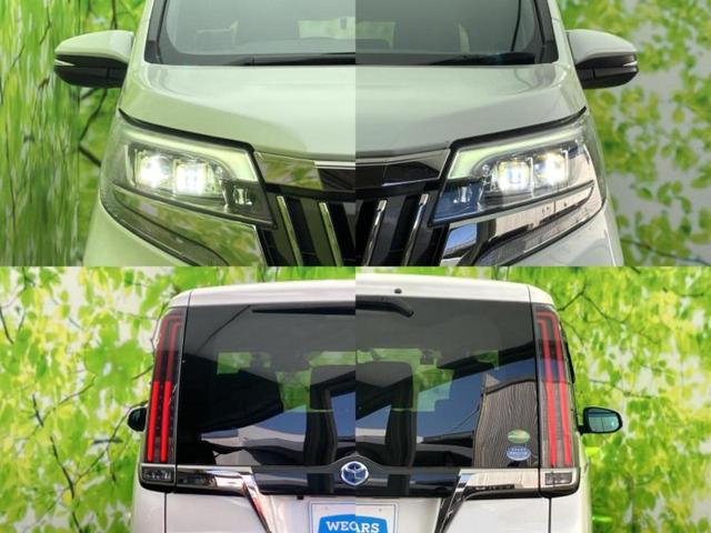 �v�d�b�`�q�r�ł͊e���k�Ȃɑ�^���j�^�[�����p�ӂ��Ă���܂��I���₷�����ʂł������ƑS���̍݌ɂ��������������܂��I���񂲗��X���҂����Ă���܂��I