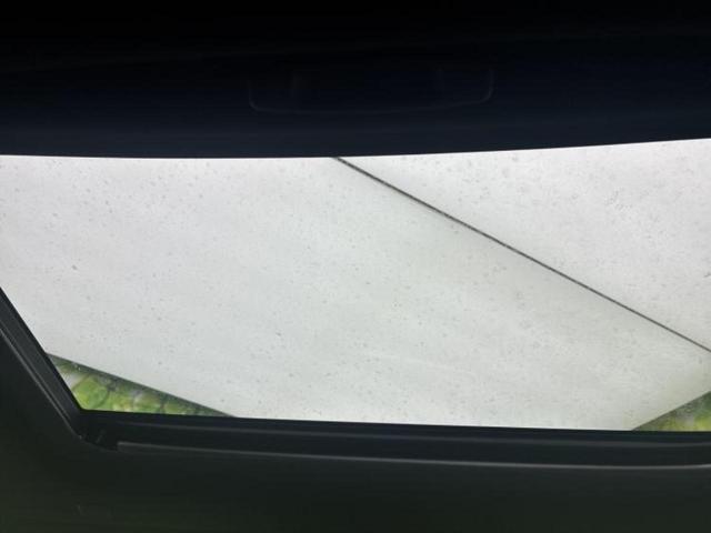 �u���̎Ԃ̎ʐ^�������ƌ������v�u��Ԃ��C�ɂȂ�v�u���̑����͂��Ă���H�v�ǂ�ȏ����ȋ^��ł����C�y�ɂ��₢���킹���������I