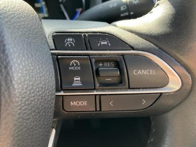 �v�d�b�`�q�r�̓W����ł͎��ۂɌ��āA�G���Ă��Ԃ����I�т��������܂��I�m���̖L�x�ȉc�ƃX�^�b�t���l�X�ȃJ�[���C�t������Ă������܂��I