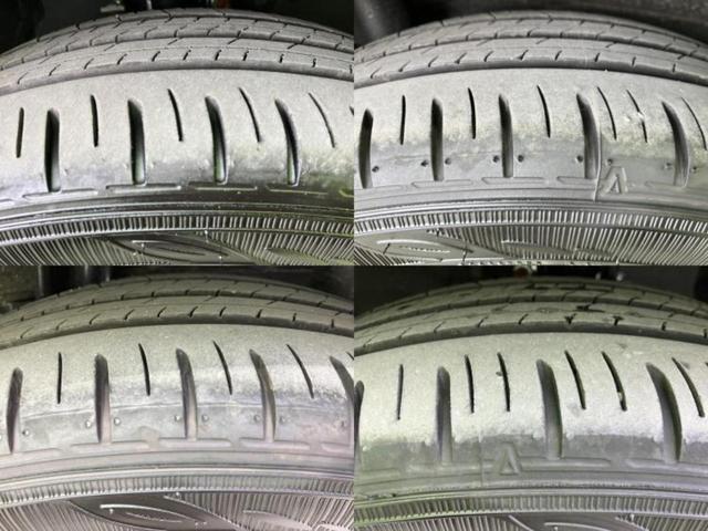 �u���̎Ԃ̎ʐ^�������ƌ������v�u��Ԃ��C�ɂȂ�v�u���̑����͂��Ă���H�v�ǂ�ȏ����ȋ^��ł����C�y�ɂ��₢���킹���������I