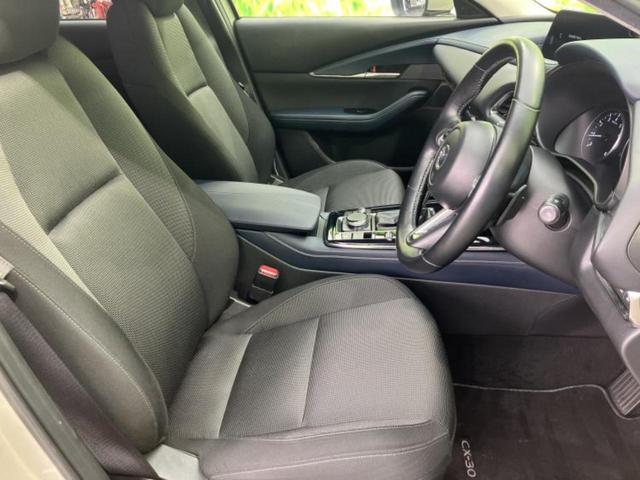 �u���̎Ԃ̎ʐ^�������ƌ������v�u��Ԃ��C�ɂȂ�v�u���̑����͂��Ă���H�v�ǂ�ȏ����ȋ^��ł����C�y�ɂ��₢���킹���������I