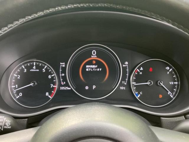 �v�d�b�`�q�r�̓W����ł͎��ۂɌ��āA�G���Ă��Ԃ����I�т��������܂��I�m���̖L�x�ȉc�ƃX�^�b�t���l�X�ȃJ�[���C�t������Ă������܂��I