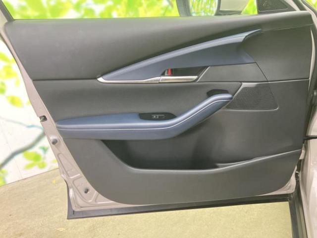 �u���̎Ԃ̎ʐ^�������ƌ������v�u��Ԃ��C�ɂȂ�v�u���̑����͂��Ă���H�v�ǂ�ȏ����ȋ^��ł����C�y�ɂ��₢���킹���������I