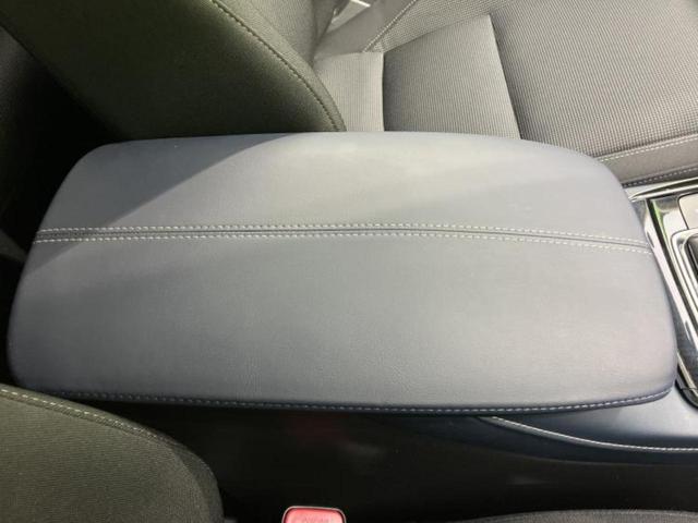 �u���̎Ԃ̎ʐ^�������ƌ������v�u��Ԃ��C�ɂȂ�v�u���̑����͂��Ă���H�v�ǂ�ȏ����ȋ^��ł����C�y�ɂ��₢���킹���������I