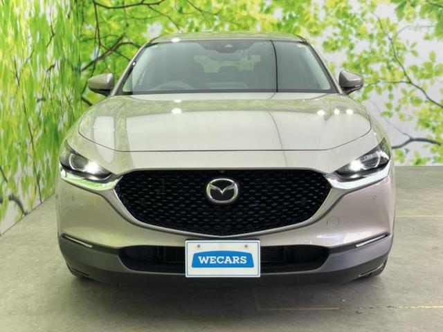 ������̂��Ԃ͂������ł��傤���H�����ł��C�ɂȂ��Ă��������܂����琥�񂨖₢���킹���������I����ɂ��Ԃ̏ڍׂ������肢�����܂��I