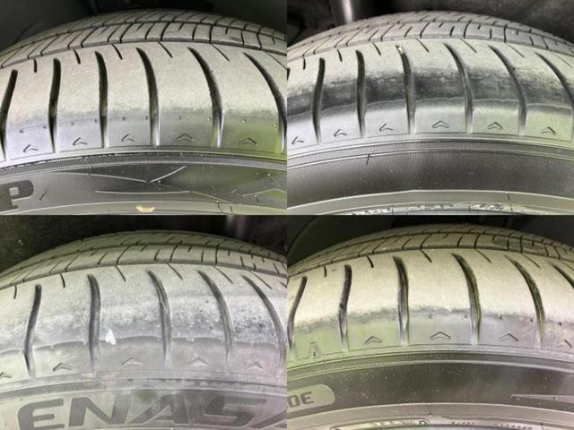 �u���̎Ԃ̎ʐ^�������ƌ������v�u��Ԃ��C�ɂȂ�v�u���̑����͂��Ă���H�v�ǂ�ȏ����ȋ^��ł����C�y�ɂ��₢���킹���������I