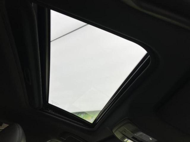 �u���̎Ԃ̎ʐ^�������ƌ������v�u��Ԃ��C�ɂȂ�v�u���̑����͂��Ă���H�v�ǂ�ȏ����ȋ^��ł����C�y�ɂ��₢���킹���������I