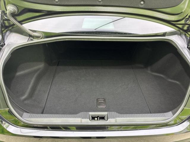 �u���̎Ԃ̎ʐ^�������ƌ������v�u��Ԃ��C�ɂȂ�v�u���̑����͂��Ă���H�v�ǂ�ȏ����ȋ^��ł����C�y�ɂ��₢���킹���������I