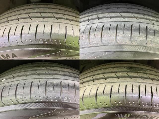 �u���̎Ԃ̎ʐ^�������ƌ������v�u��Ԃ��C�ɂȂ�v�u���̑����͂��Ă���H�v�ǂ�ȏ����ȋ^��ł����C�y�ɂ��₢���킹���������I