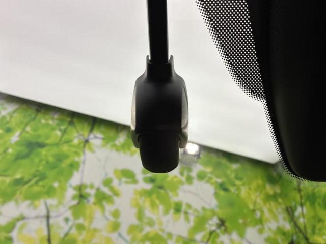 �v�d�b�`�q�r�̓W����ł͎��ۂɌ��āA�G���Ă��Ԃ����I�т��������܂��I�m���̖L�x�ȉc�ƃX�^�b�t���l�X�ȃJ�[���C�t������Ă������܂��I