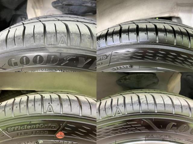 �u���̎Ԃ̎ʐ^�������ƌ������v�u��Ԃ��C�ɂȂ�v�u���̑����͂��Ă���H�v�ǂ�ȏ����ȋ^��ł����C�y�ɂ��₢���킹���������I